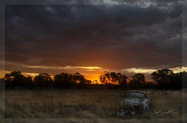 sunset with datsun ute