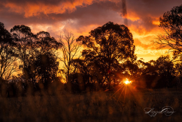 sunset 30-03-24