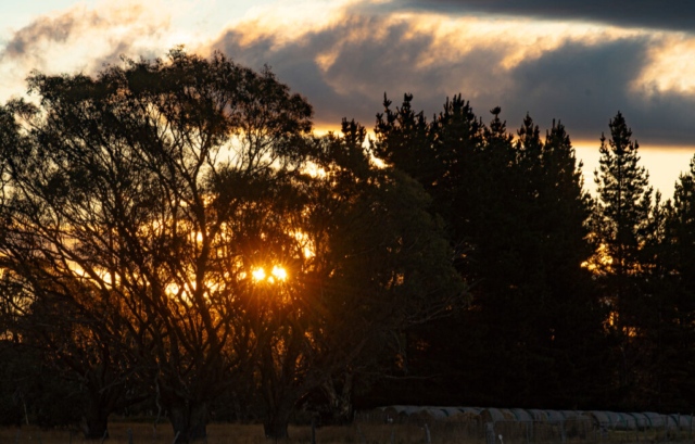 sunset 14-4-24